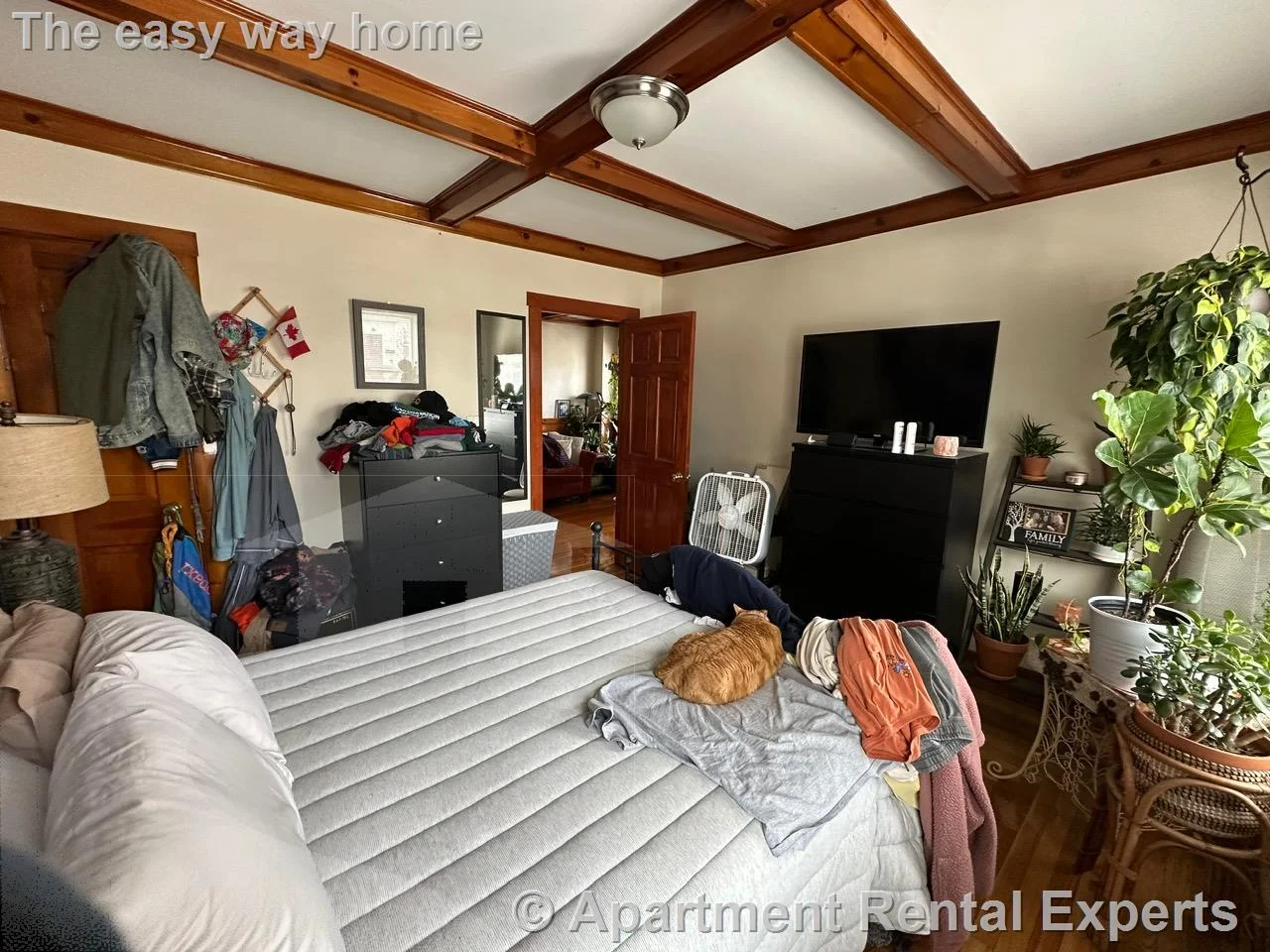 1 bed, 1 bath apartment for rent at 21 Ashland St Unit 1, Malden Center — photo 18 of 22