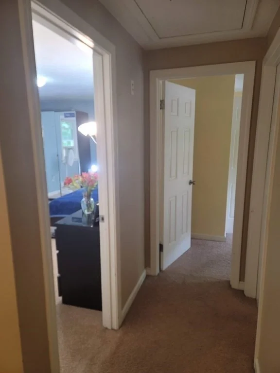 3 bed, 1 bath apartment for rent at 21 Bishop St Unit B, Natick — photo 12 of 16