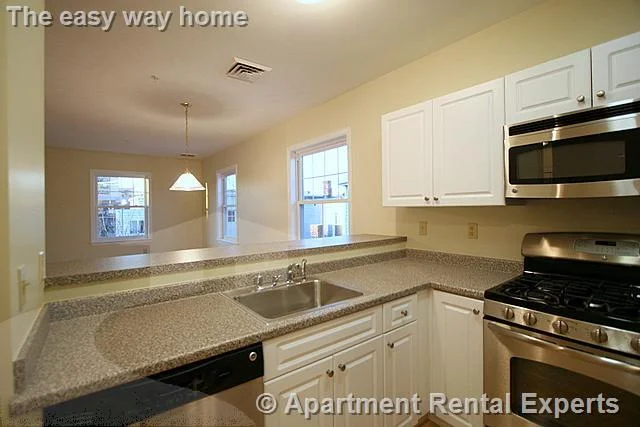 1 bed, 1 bath apartment for rent at 21 Brookline St Unit 210, Central Square — photo 5 of 11
