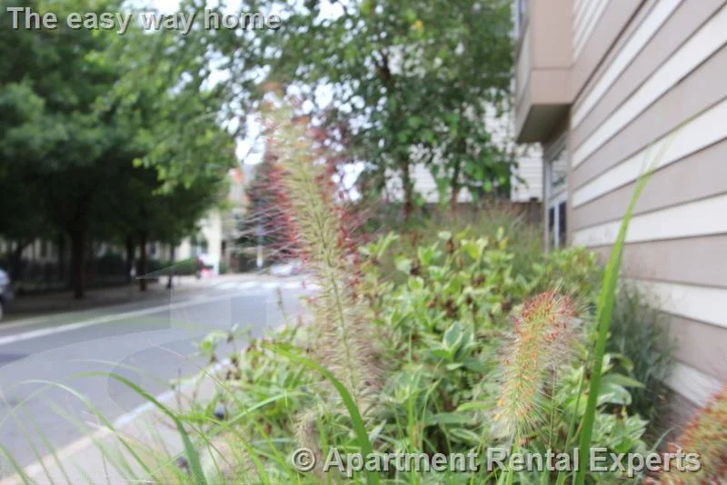1 bed, 1 bath apartment for rent at 21 Brookline St Unit 210, Central Square — photo 10 of 11