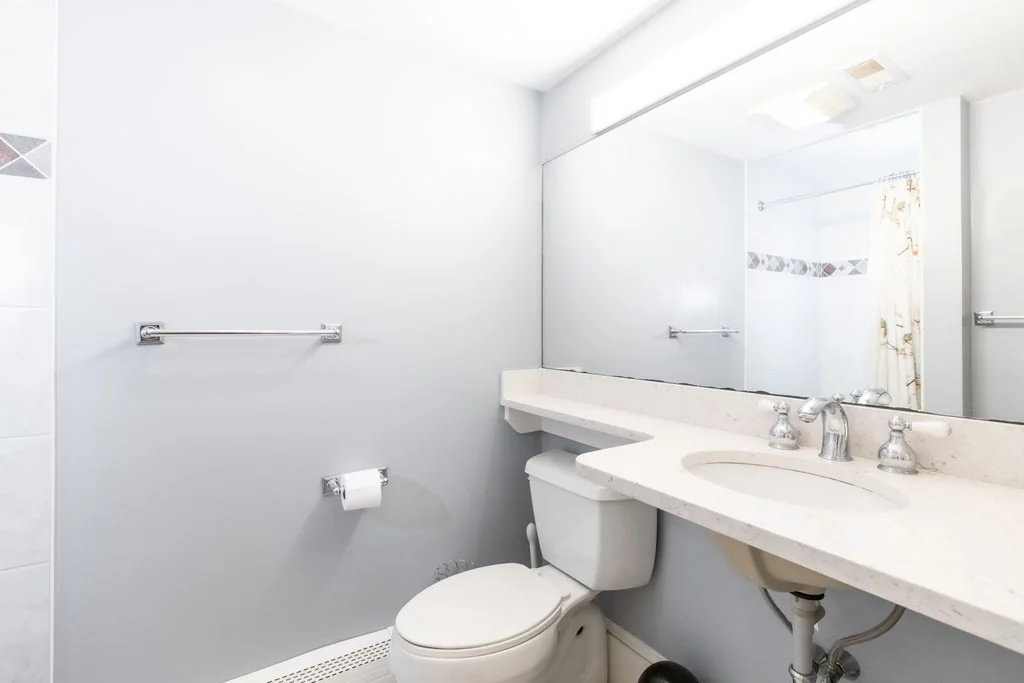 2 bed, 2 bath apartment for rent at 21 East Concord St Unit 1Tp, South End — photo 6 of 8