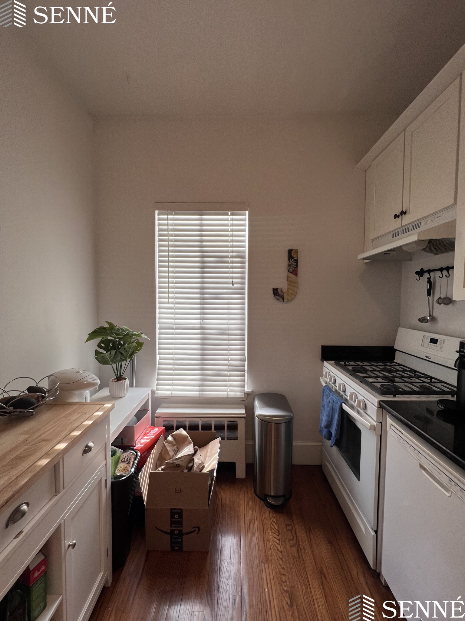 1 bed, 1 bath apartment for rent at 21 Ellery St Unit 1, Mid-Cambridge — photo 5 of 17