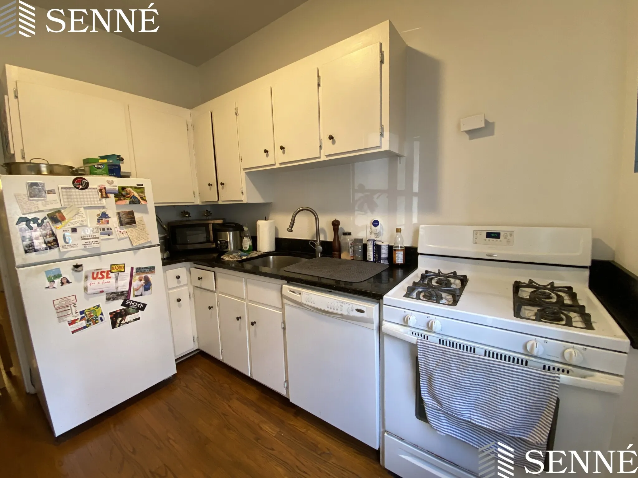 1 bed, 1 bath apartment for rent at 21 Ellery St Unit 2, Mid-Cambridge — photo 12 of 12
