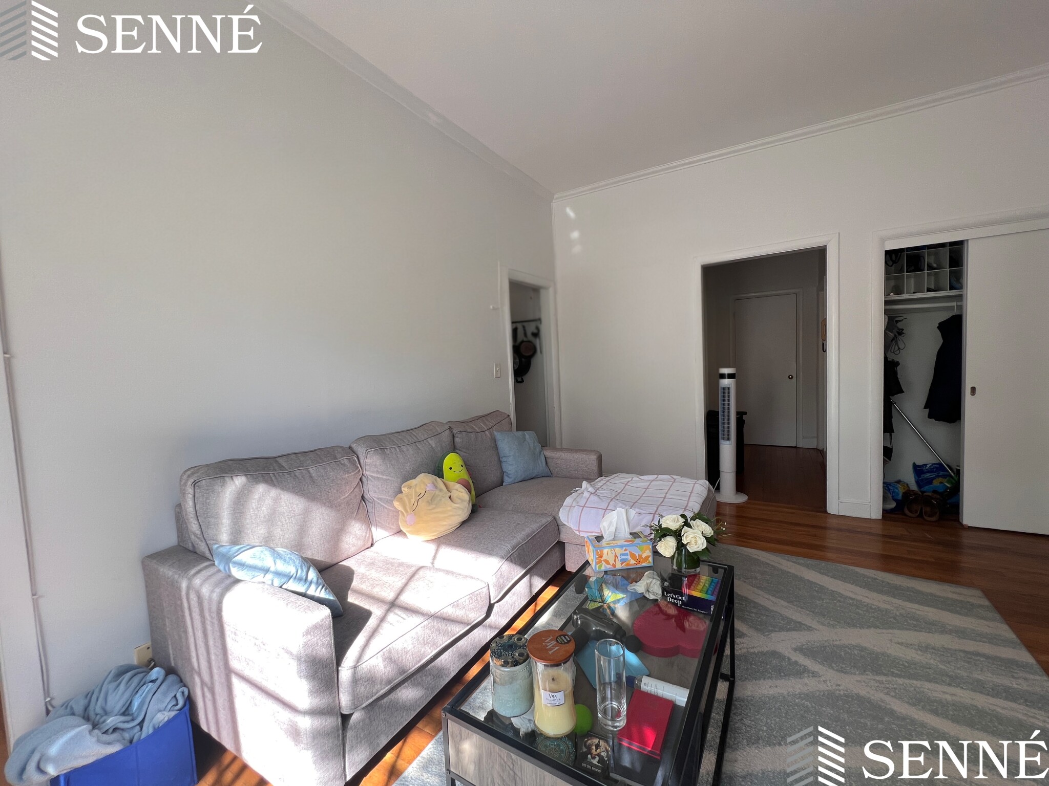 1.5 bed, 1 bath apartment for rent at 21 Ellery St Unit 3, Mid-Cambridge — photo 2 of 15