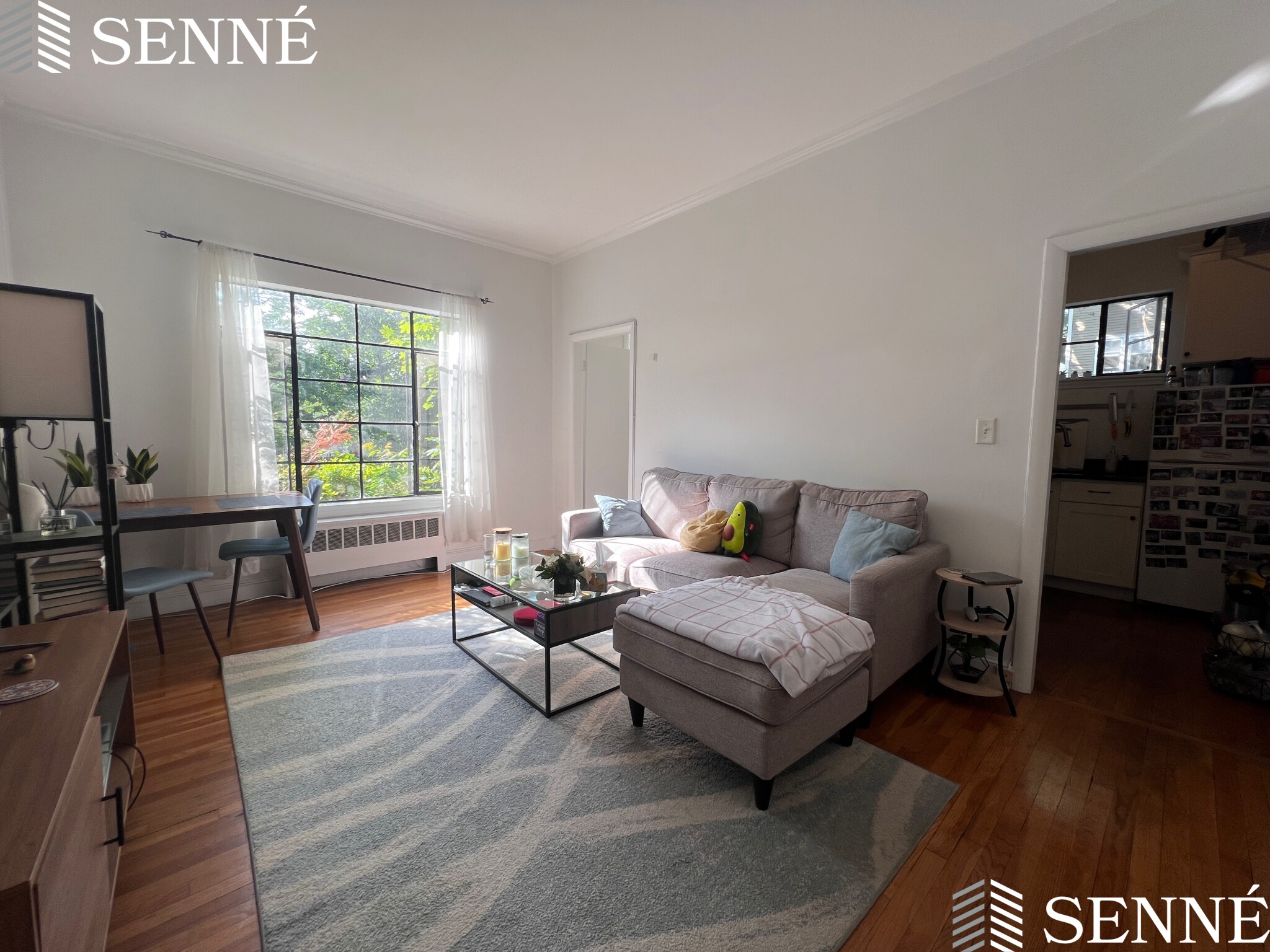 1.5 bed, 1 bath apartment for rent at 21 Ellery St Unit 3, Mid-Cambridge
