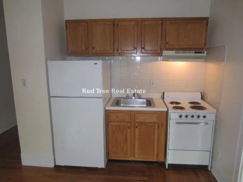 1 bed, 1 bath apartment for rent at 21 Fairbanks St Unit 31, Griggs Park — photo 5 of 19