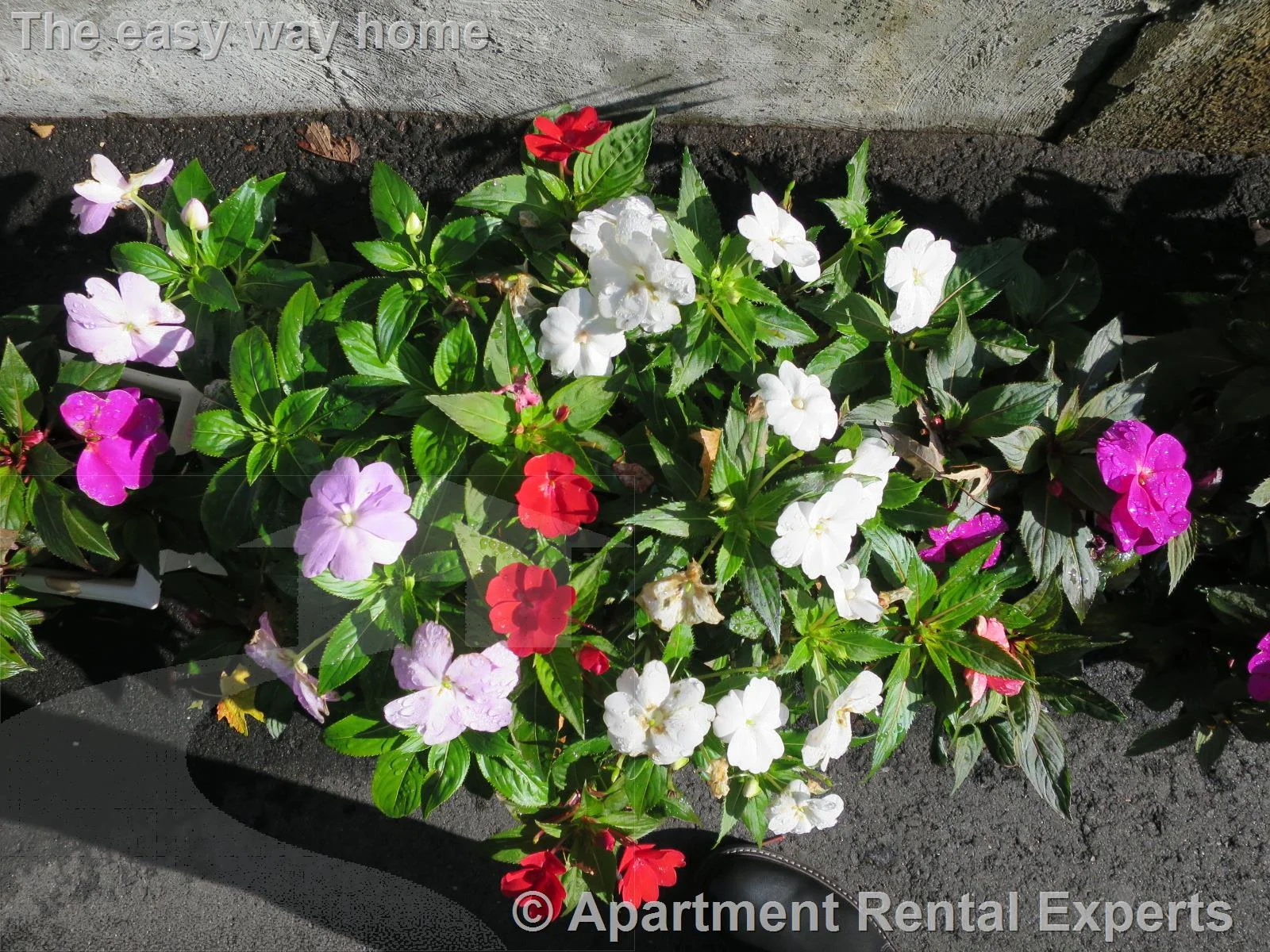2 bed, 1 bath apartment for rent at 21 Franklin St Unit 14, Sullivan Square — photo 8 of 10