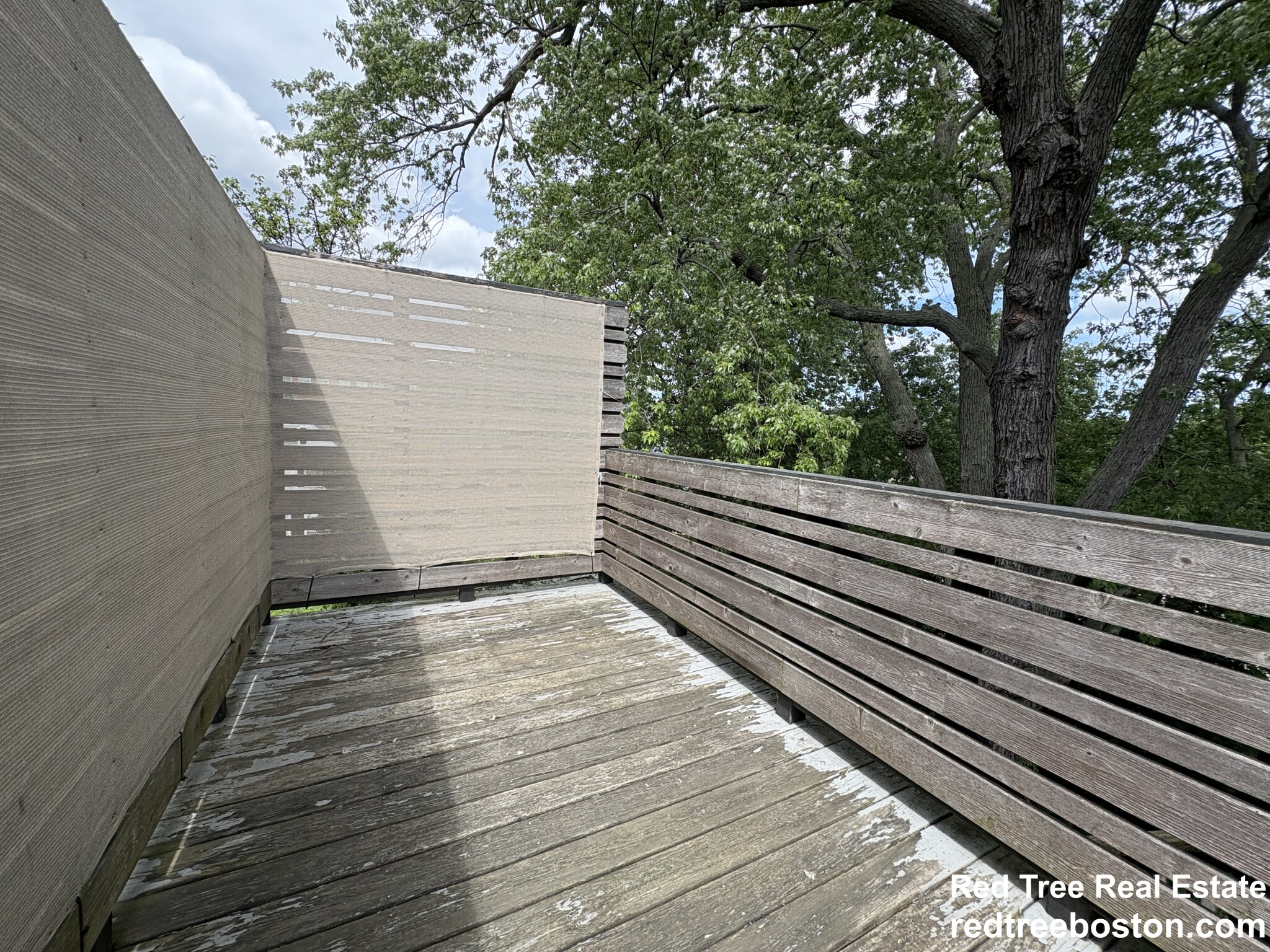 1 bed, 1 bath apartment for rent at 21 Holton St Unit 3, Allston — photo 14 of 19