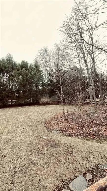 4 bed, 1 bath apartment for rent at 21 Lawrence Ln Unit 0, Belmont — photo 11 of 13