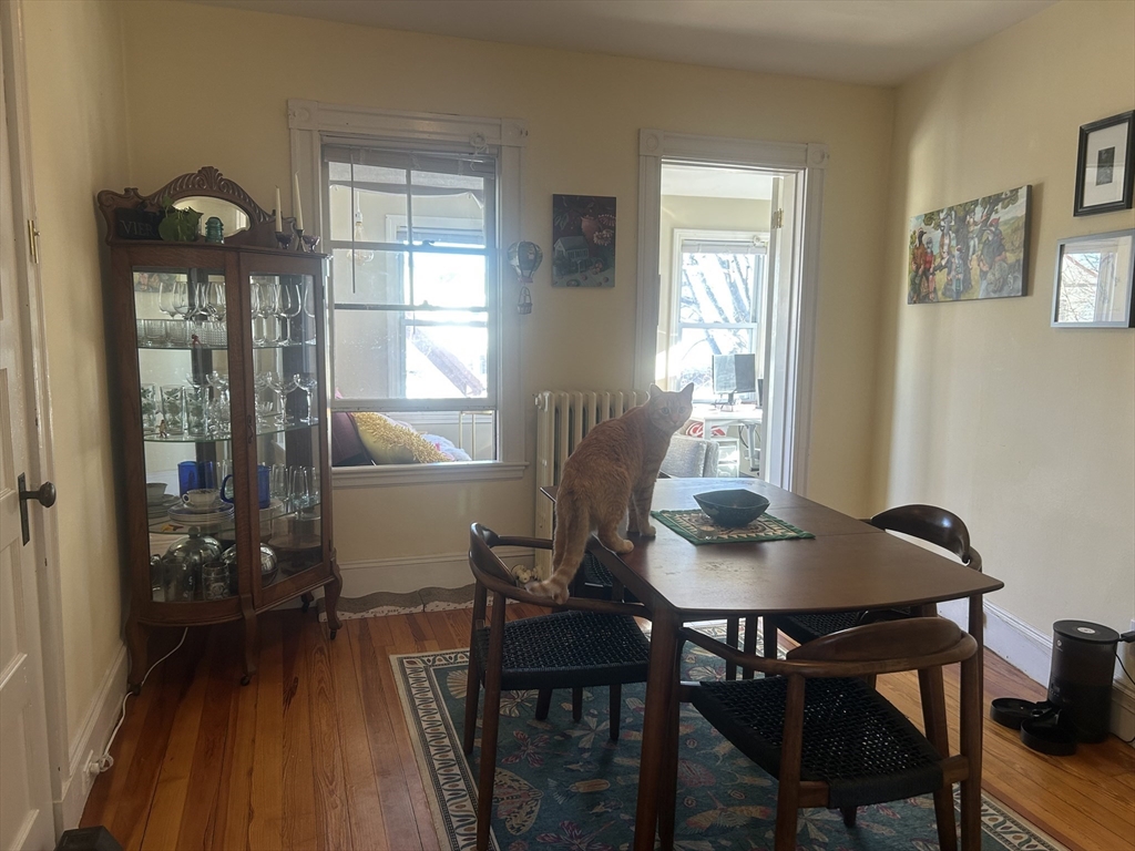 2 bed, 1 bath apartment for rent at 21 Pearson Ave Unit 3, Somerville — photo 7 of 12