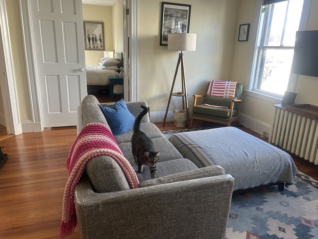 2 bed, 1 bath apartment for rent at 21 Pearson Ave Unit 3, Somerville — photo 6 of 12