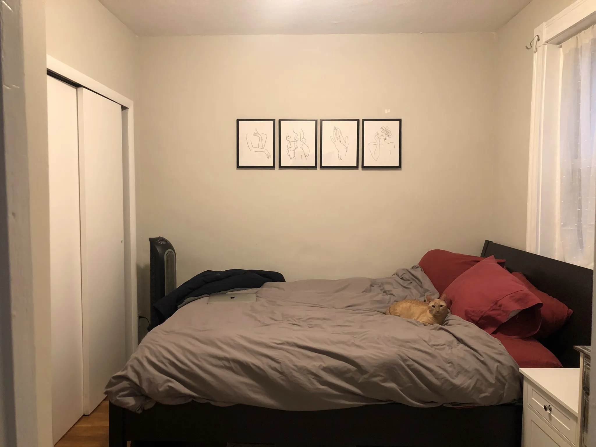1 bed, 1 bath apartment for rent at 21 Sheafe St Unit 3, North End — photo 7 of 10