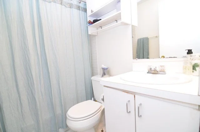 1 bed, 1 bath apartment for rent at 21 Telegraph St Unit 2, South Boston — photo 7 of 10