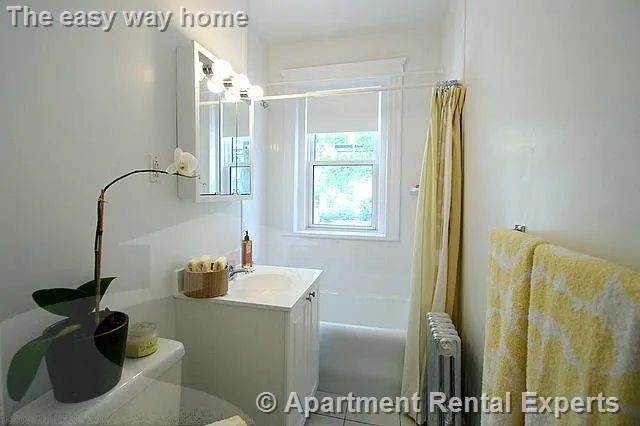 1 bed, 1 bath apartment for rent at 21 Wendell St Unit 5, Harvard Square — photo 6 of 9