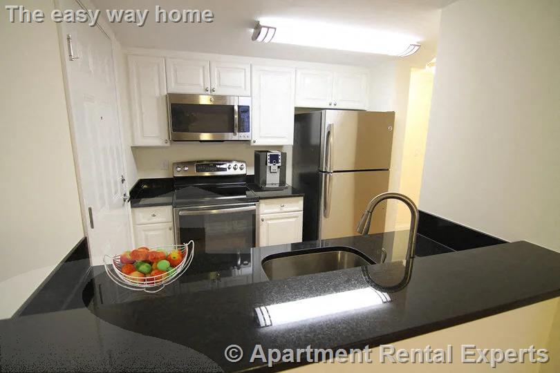 1 bed, 1 bath apartment for rent at 21 Wendell St Unit D, Harvard Square — photo 2 of 6