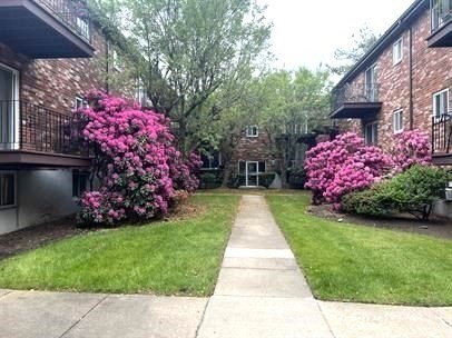 2 bed, 1 bath apartment for rent at 21 Westgate Unit 1, West Roxbury