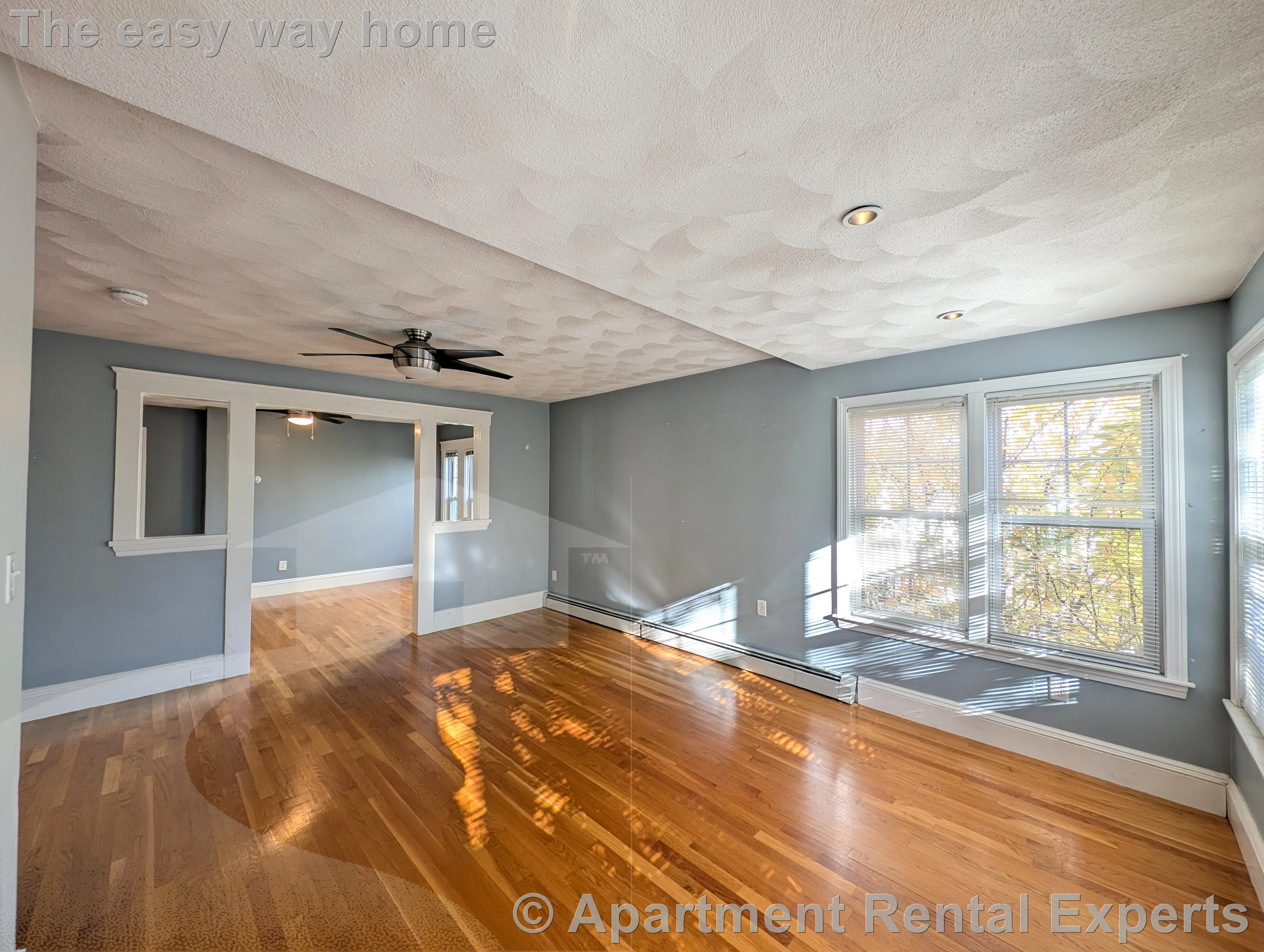 1 bed, 1 bath apartment for rent at 21 Whitman St, Davis Square — photo 4 of 18