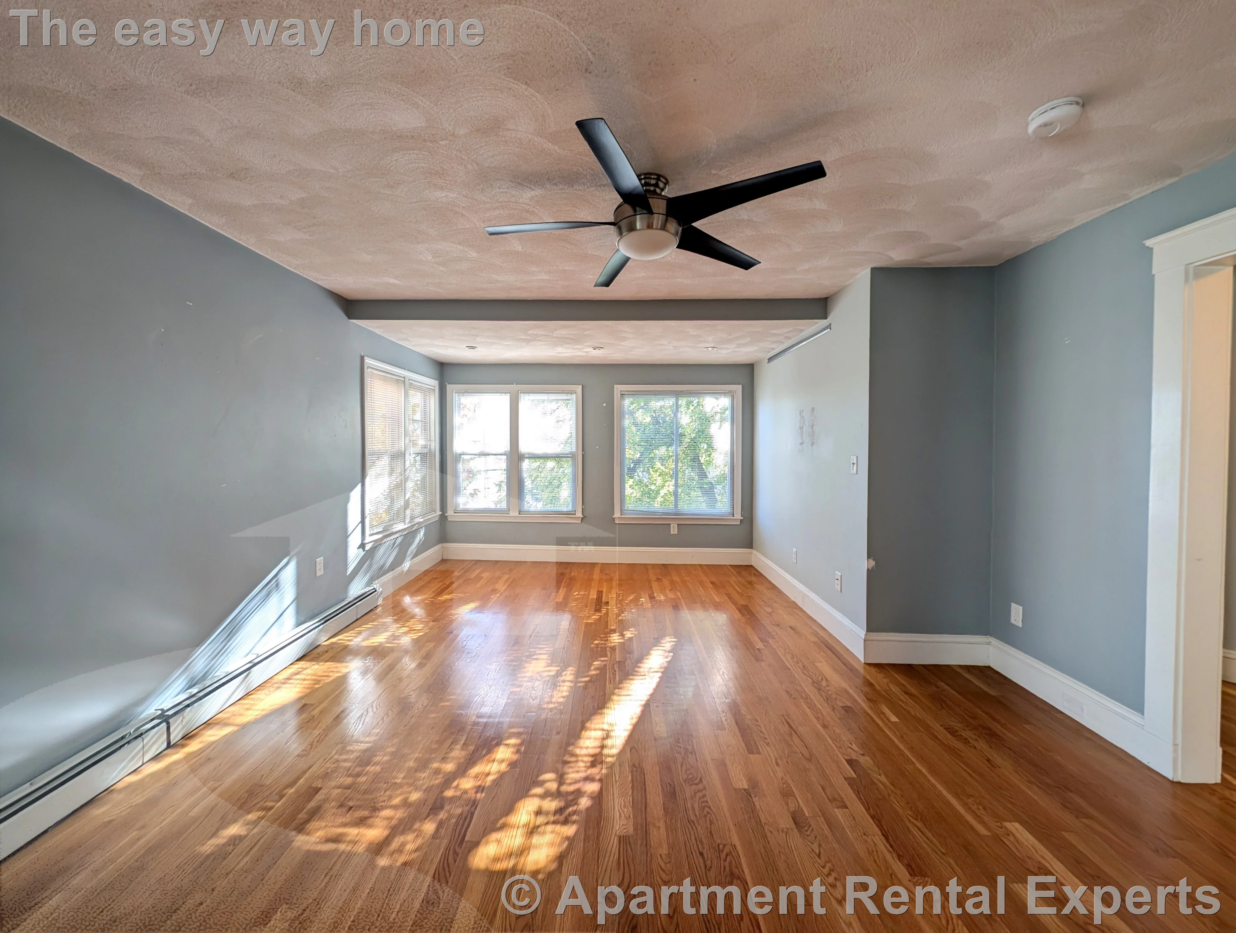 1 bed, 1 bath apartment for rent at 21 Whitman St, Davis Square — photo 2 of 18