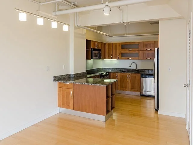 2 bed, 2 bath apartment for rent at 210 South St Unit 4-4, Leather District — photo 8 of 23