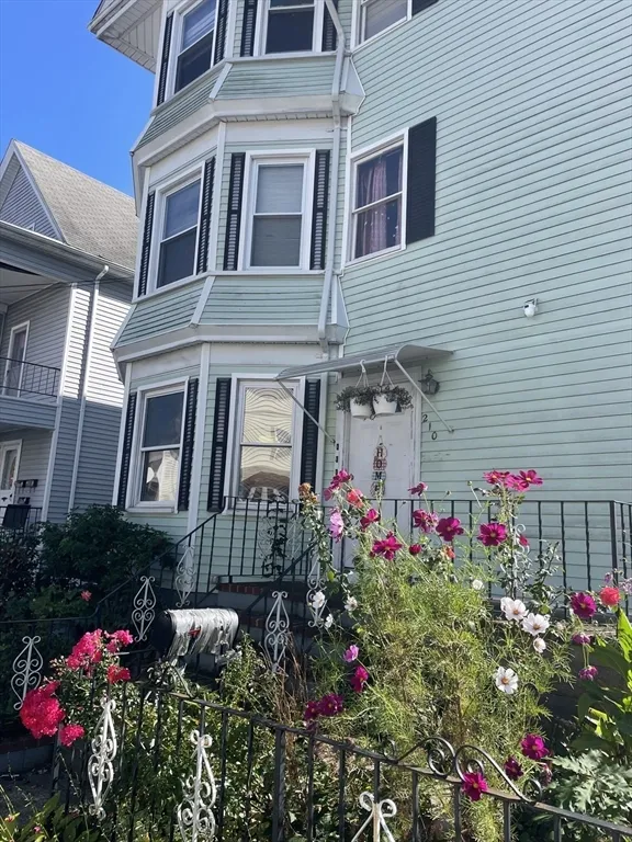 3 bed, 1 bath apartment for rent at 210 Whitman St Unit 2, Far North — photo 3 of 14