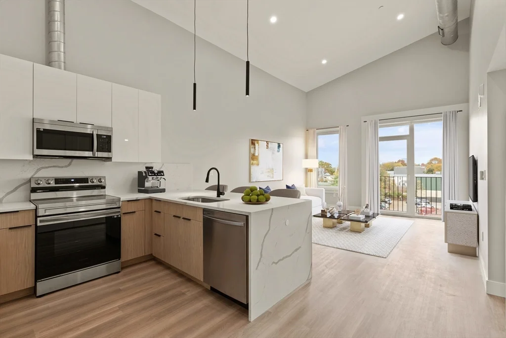 2 bed, 2 bath apartment for rent at 211 Green St Unit 507, Jamaica Plain — photo 1 of 11
