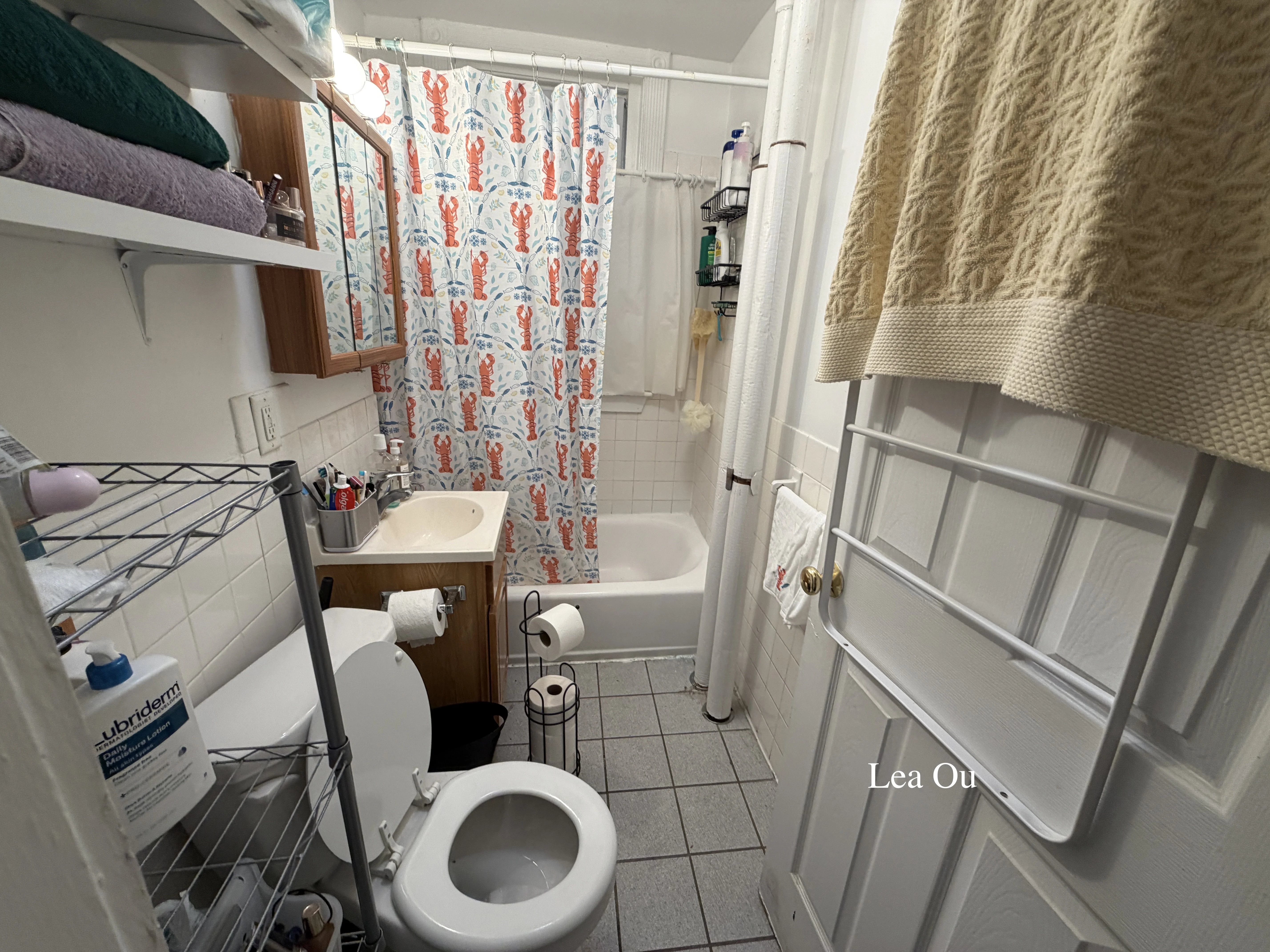 1 bed, 1 bath apartment for rent at 212 Allston St Unit Side, Brighton — photo 6 of 8