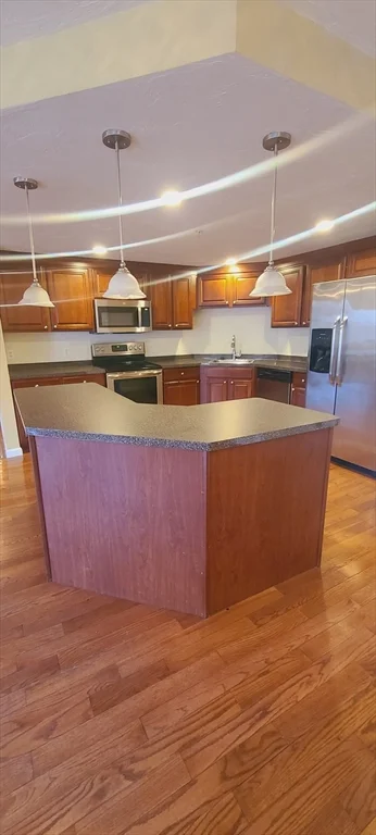 2 bed, 2 bath apartment for rent at 212 Tamarack Ln Unit 212, Abington — photo 2 of 12