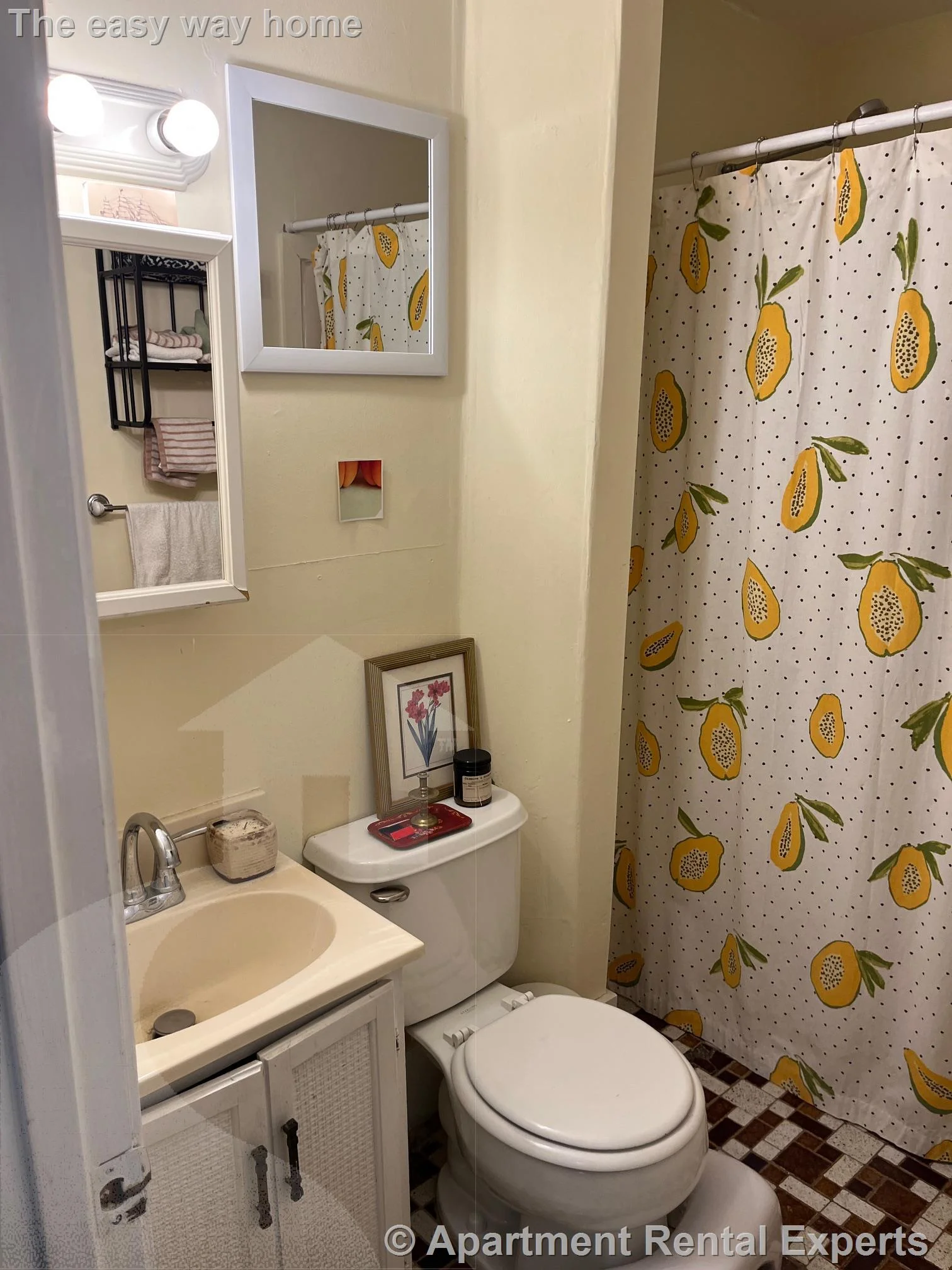 1 bed, 1 bath apartment for rent at 213 Highland Ave Unit 2L, Spring Hill — photo 8 of 9