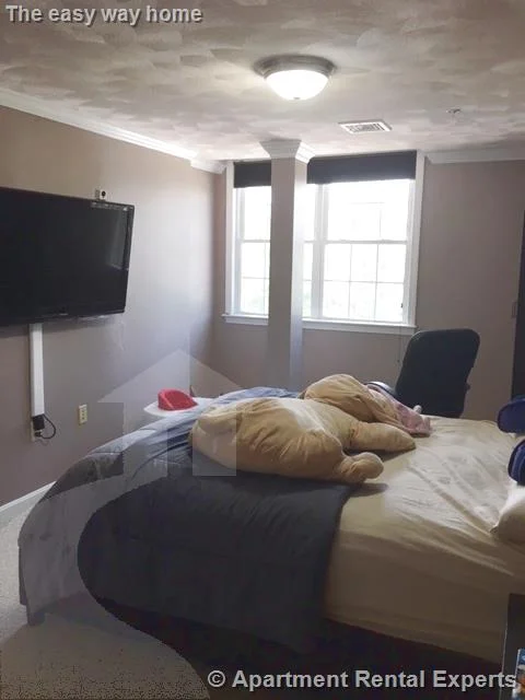 2 bed, 2 bath apartment for rent at 215 Harvard St Unit 20, Tufts — photo 10 of 23
