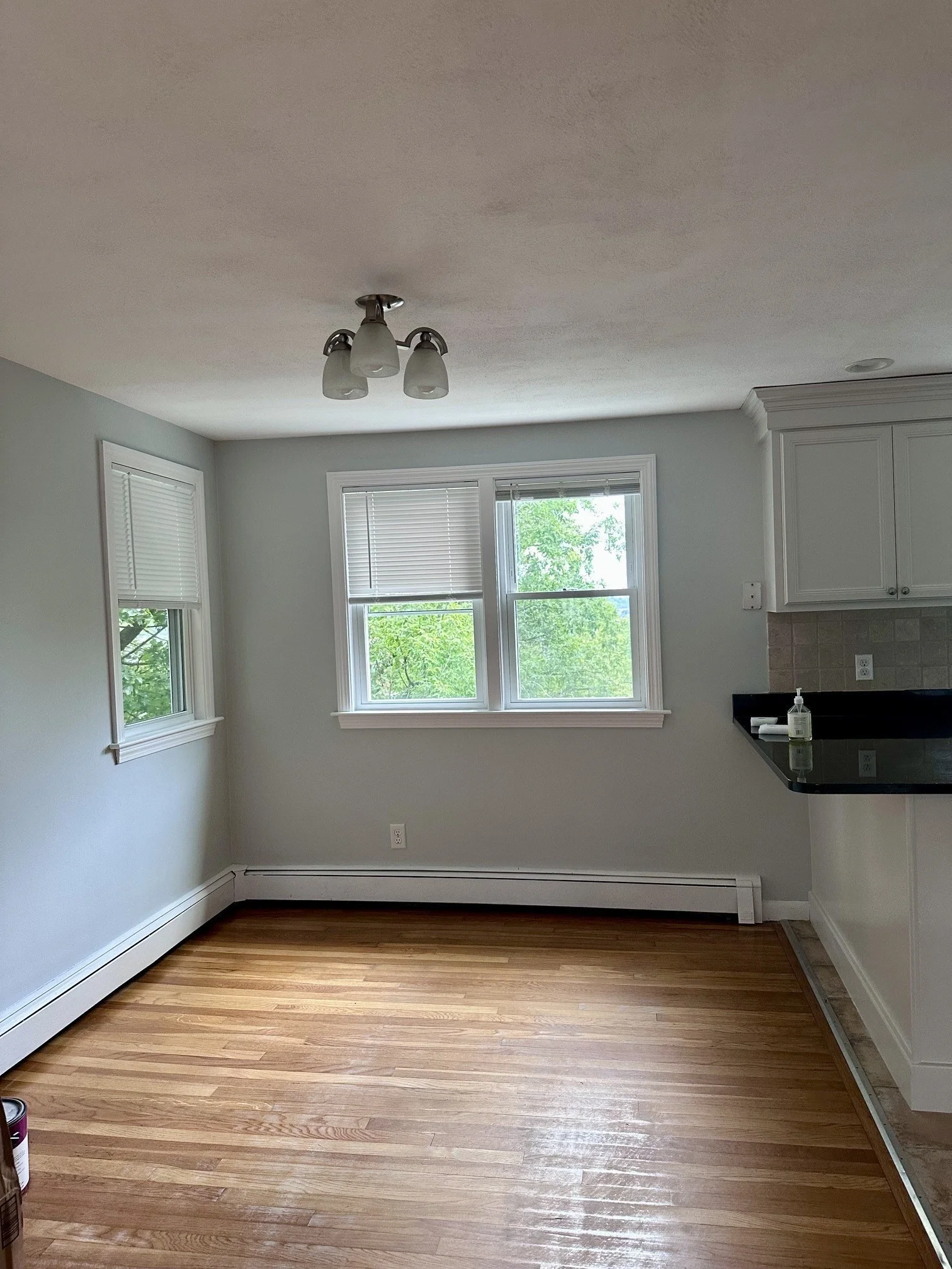 3 bed, 1 bath apartment for rent at 216 Palfrey St Unit 216, Watertown — photo 7 of 18