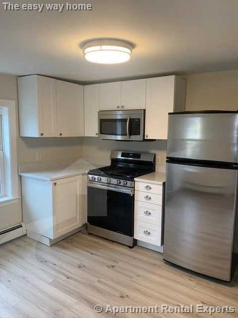 1 bed, 1 bath apartment for rent at 217 Albion St Unit 3, Wakefield — photo 1 of 8