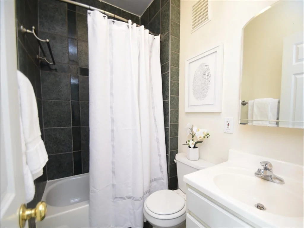 2 bed, 1 bath apartment for rent at 217 Boylston St Unit 2, Jamaica Plain — photo 12 of 15