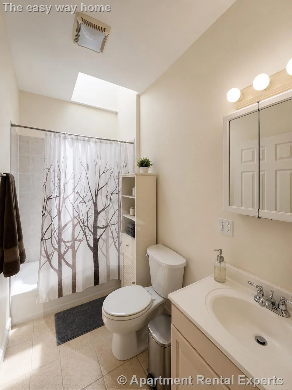 2 bed, 1 bath apartment for rent at 217 Highland Ave Unit 2, Spring Hill — photo 3 of 8