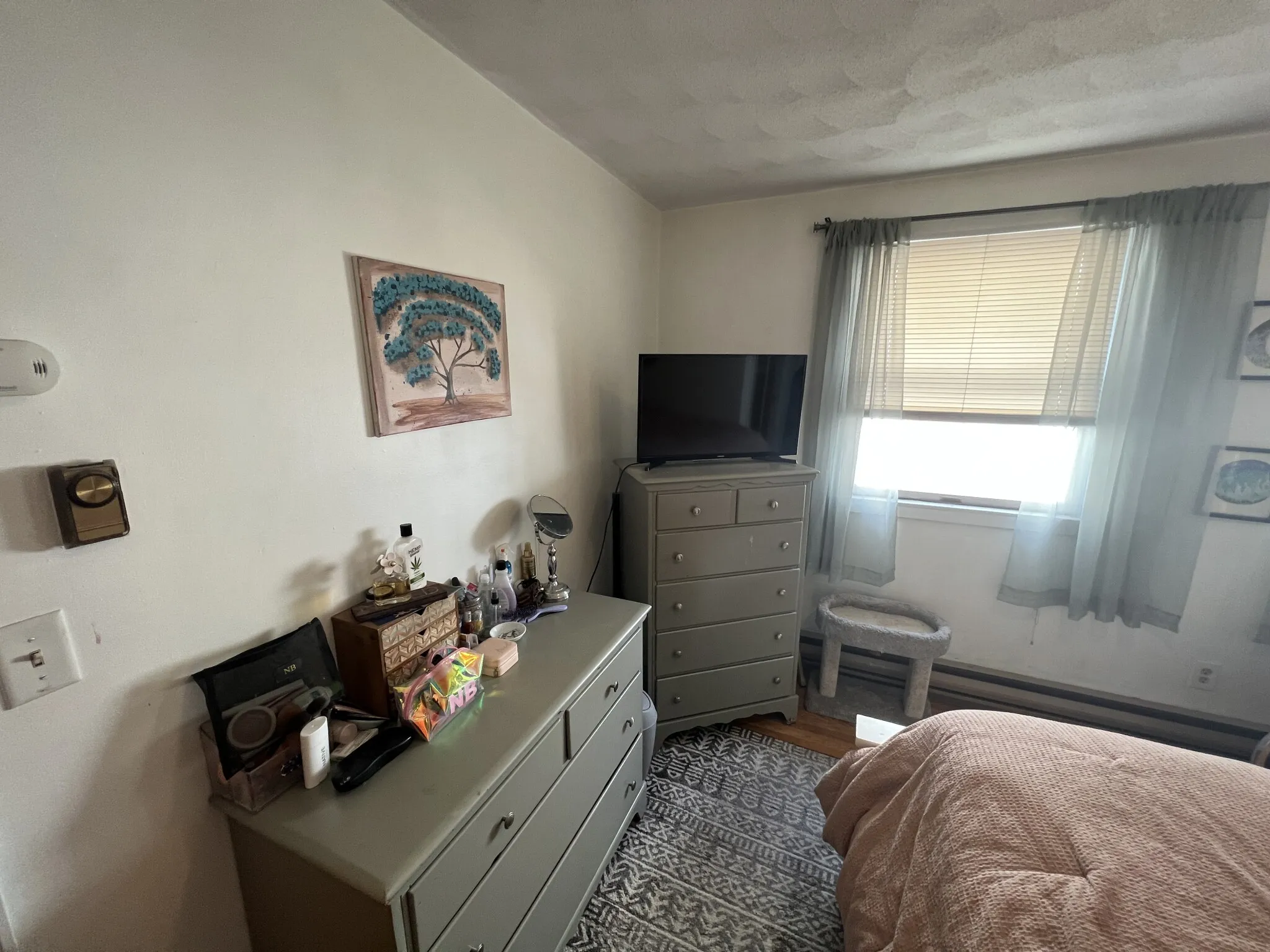 1 bed, 1 bath apartment for rent at 217 Holland St Unit 2B, Teele Square — photo 13 of 23