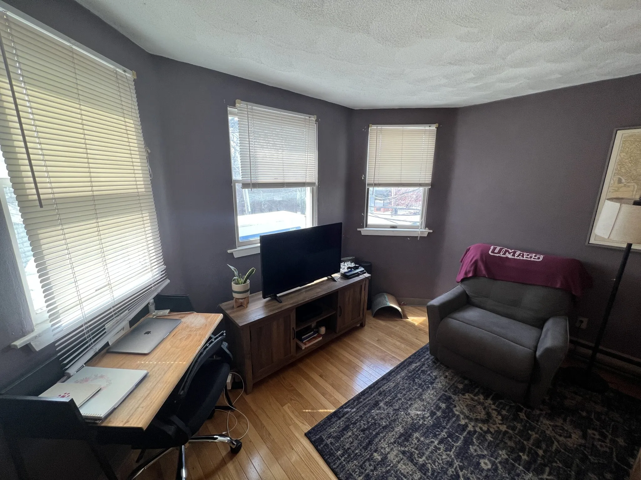 1 bed, 1 bath apartment for rent at 217 Holland St Unit 2B, Teele Square — photo 1 of 23