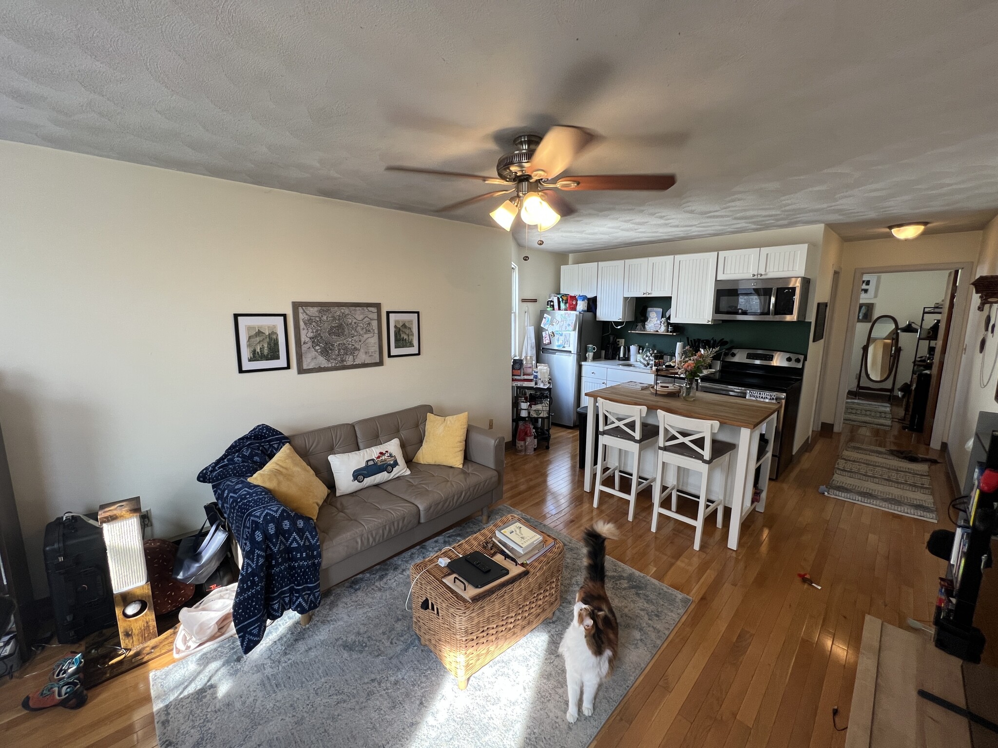 1 bed, 1 bath apartment for rent at 217 Holland St Unit 3B, Teele Square