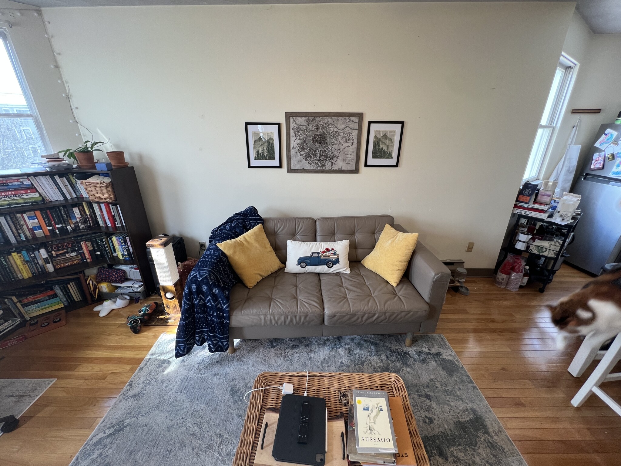 1 bed, 1 bath apartment for rent at 217 Holland St Unit 3B, Teele Square — photo 5 of 13