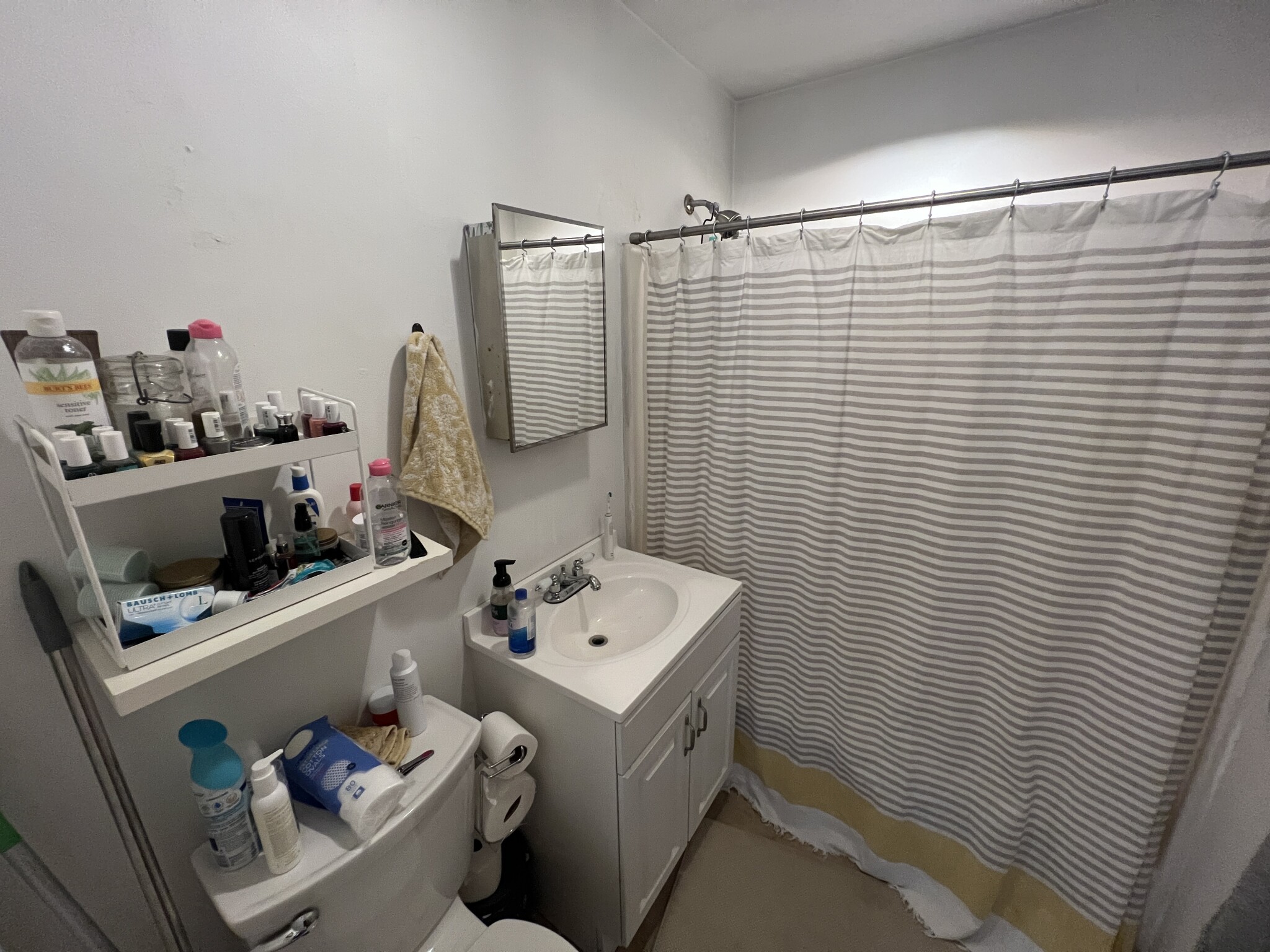 1 bed, 1 bath apartment for rent at 217 Holland St Unit 3B, Teele Square — photo 8 of 13