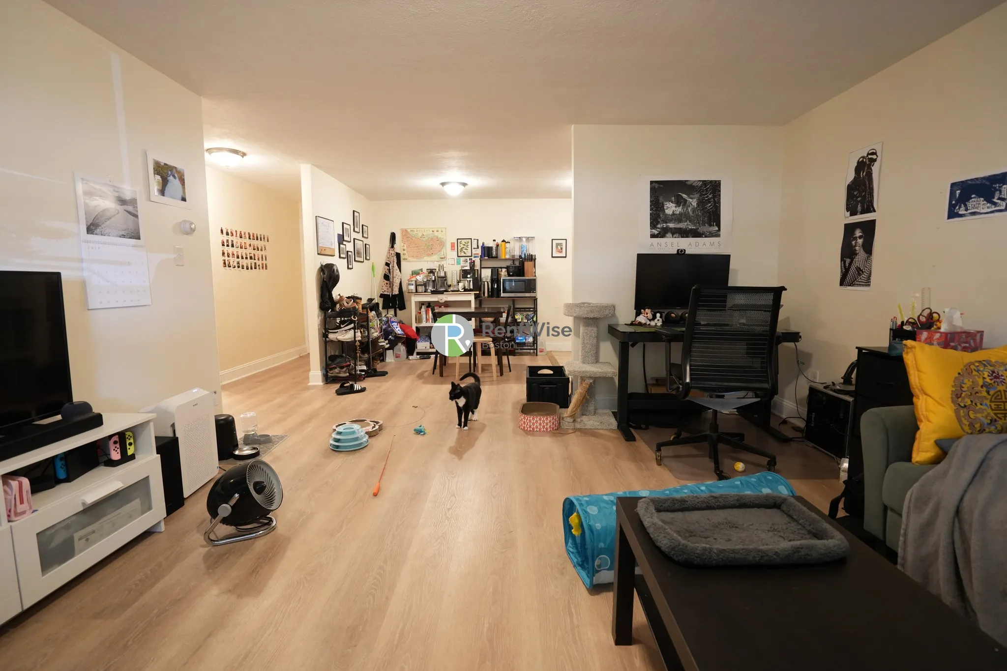 1 bed, 1 bath apartment for rent at 217 Kent St Unit 05, Brookline — photo 2 of 16