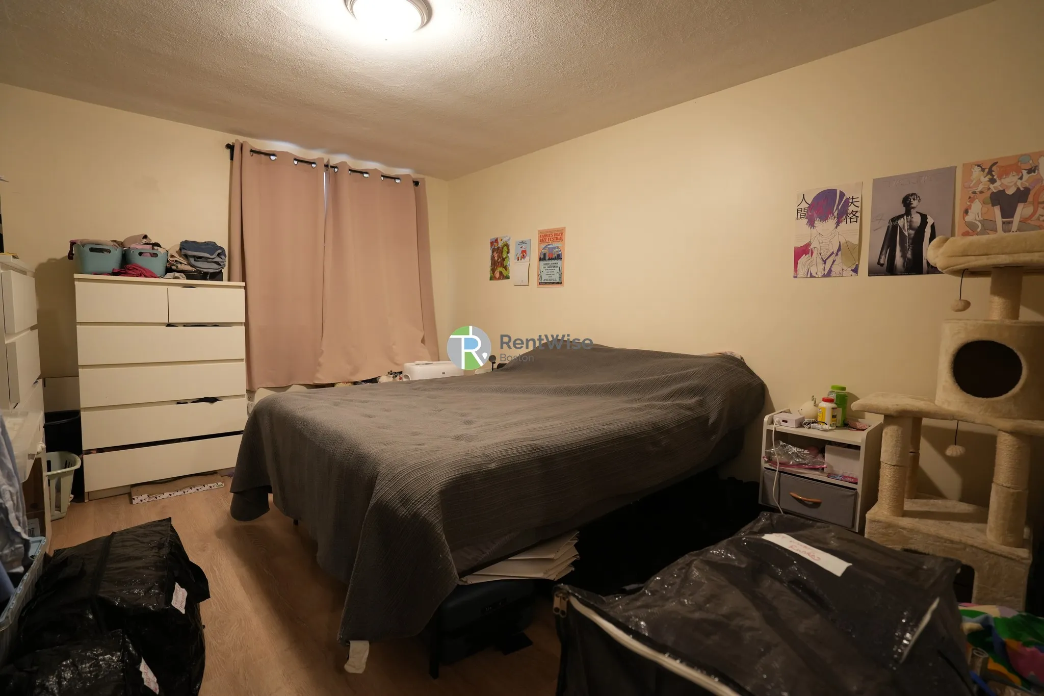 1 bed, 1 bath apartment for rent at 217 Kent St Unit 05, Brookline — photo 7 of 16