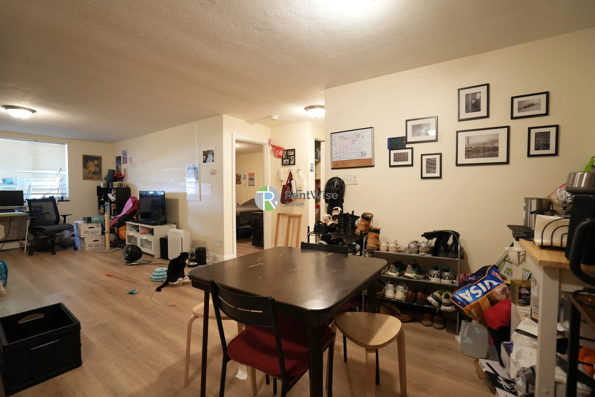 1 bed, 1 bath apartment for rent at 217 Kent St Unit 05, Brookline — photo 5 of 16