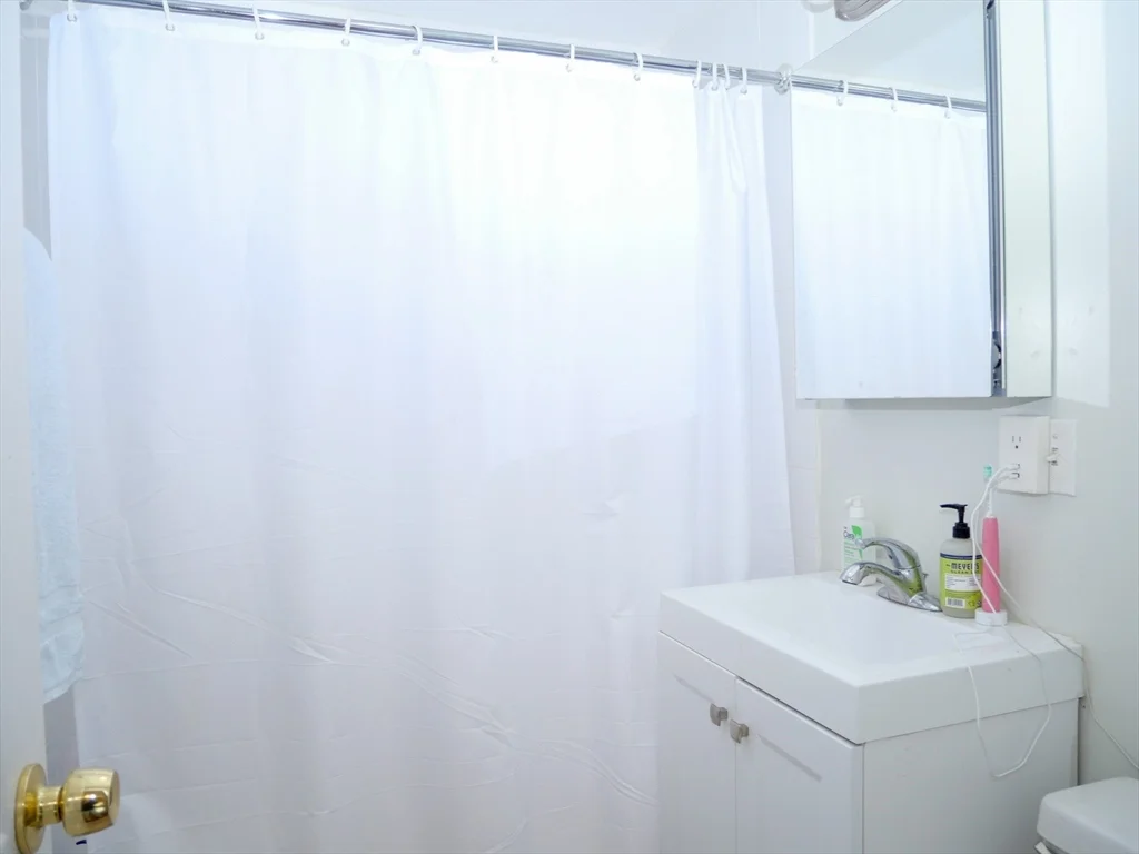 2 bed, 1 bath apartment for rent at 217 Kent Unit 27, Brookline — photo 6 of 6