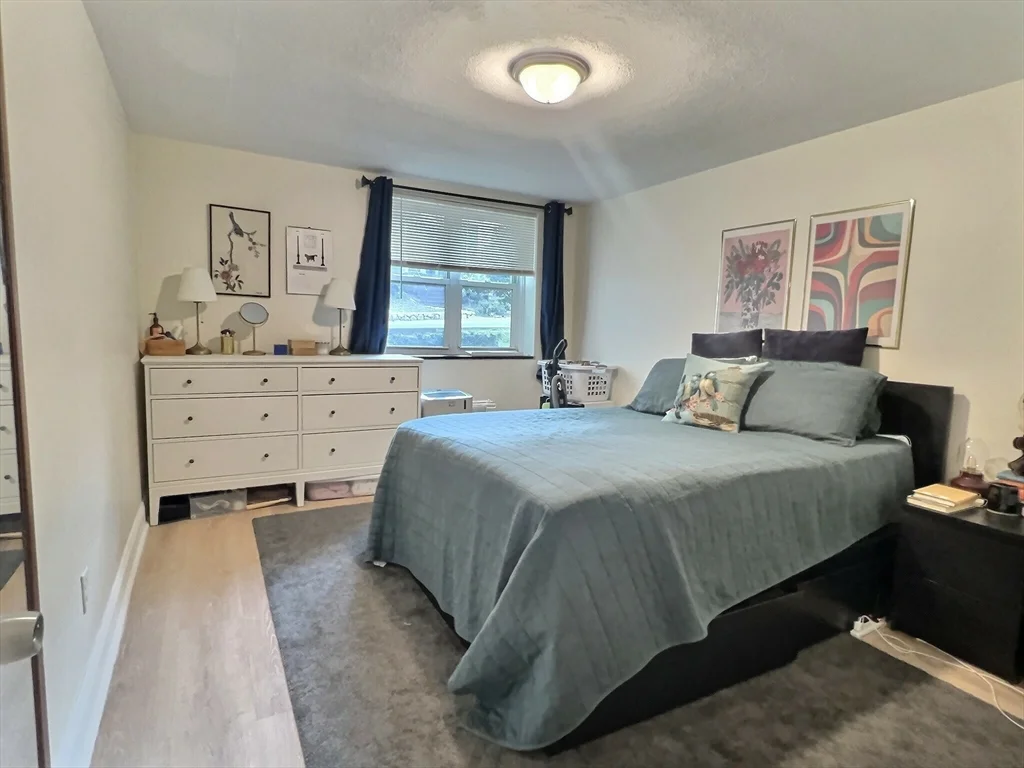 1 bed, 1 bath apartment for rent at 217 Kent Unit 5, Coolidge Corner — photo 3 of 4