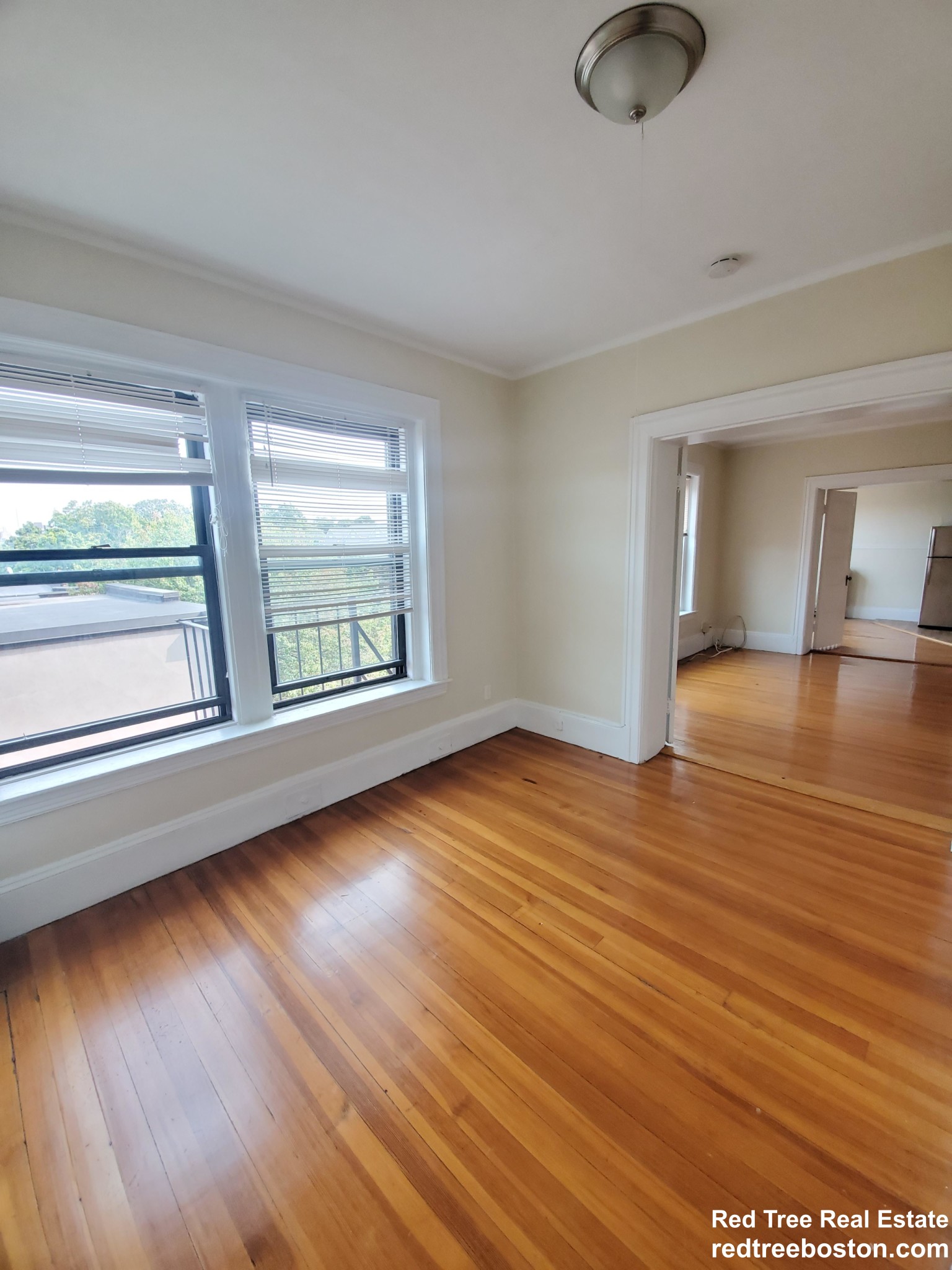 1 bed, 1 bath apartment for rent at 219 Harvard St Unit 20, Coolidge Corner — photo 3 of 7