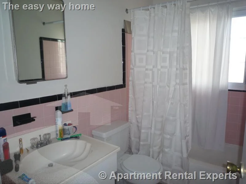 1 bed, 1 bath apartment for rent at 219 Massachusetts Ave Unit 4, East Arlington — photo 3 of 8