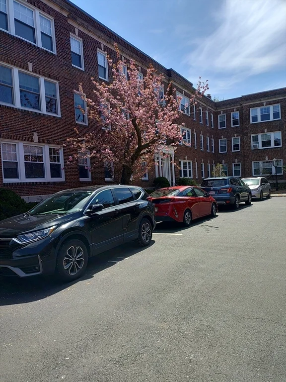 3 bed, 2 bath apartment for rent at 22 Alton Unit 2, Coolidge Corner — photo 2 of 20