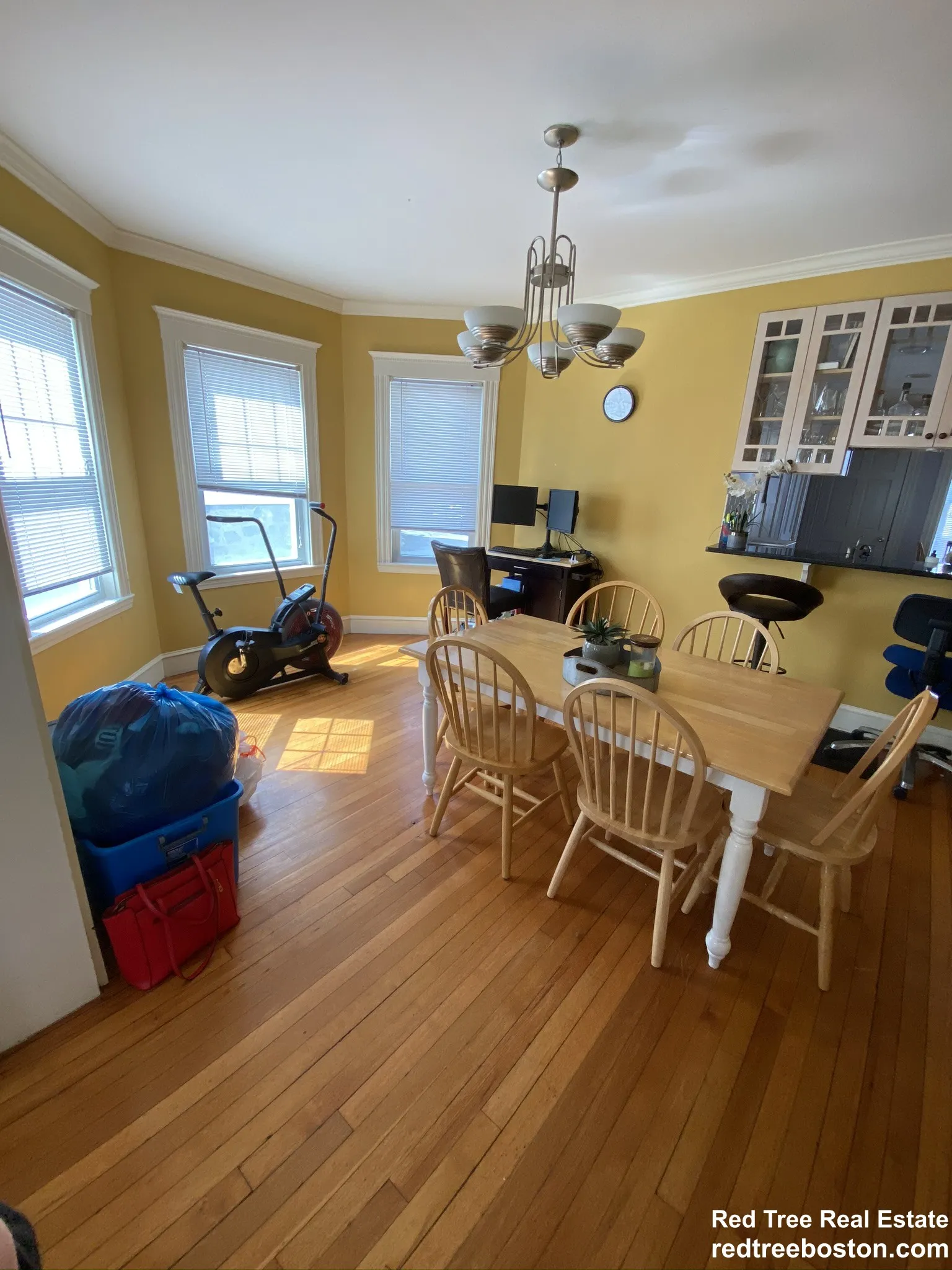 4 bed, 2 bath apartment for rent at 22 Burton St Unit 1, Brighton — photo 25 of 46