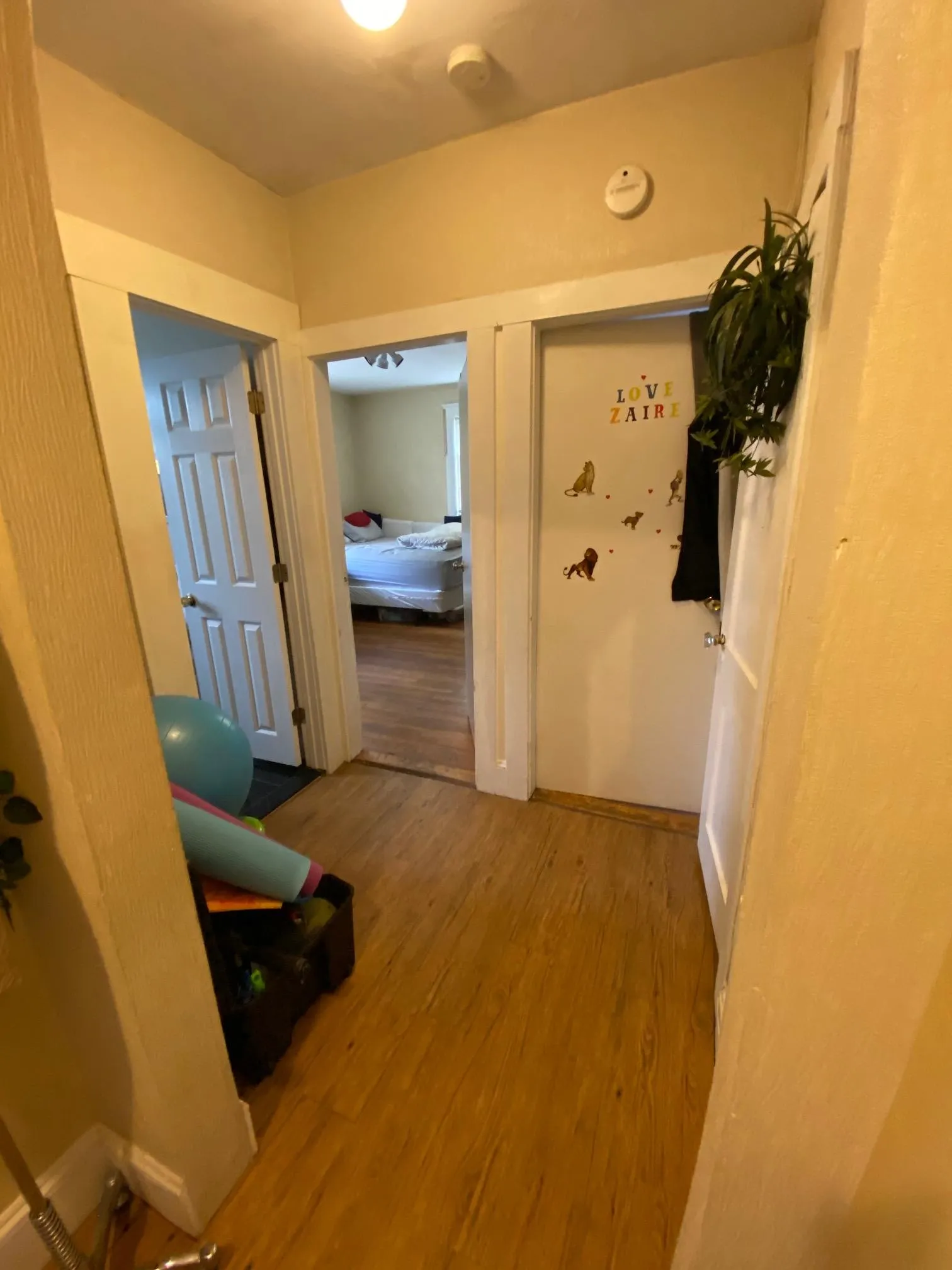 1 bed, 1 bath apartment for rent at 22 Chiswick Rd Unit 9, Brighton — photo 3 of 5