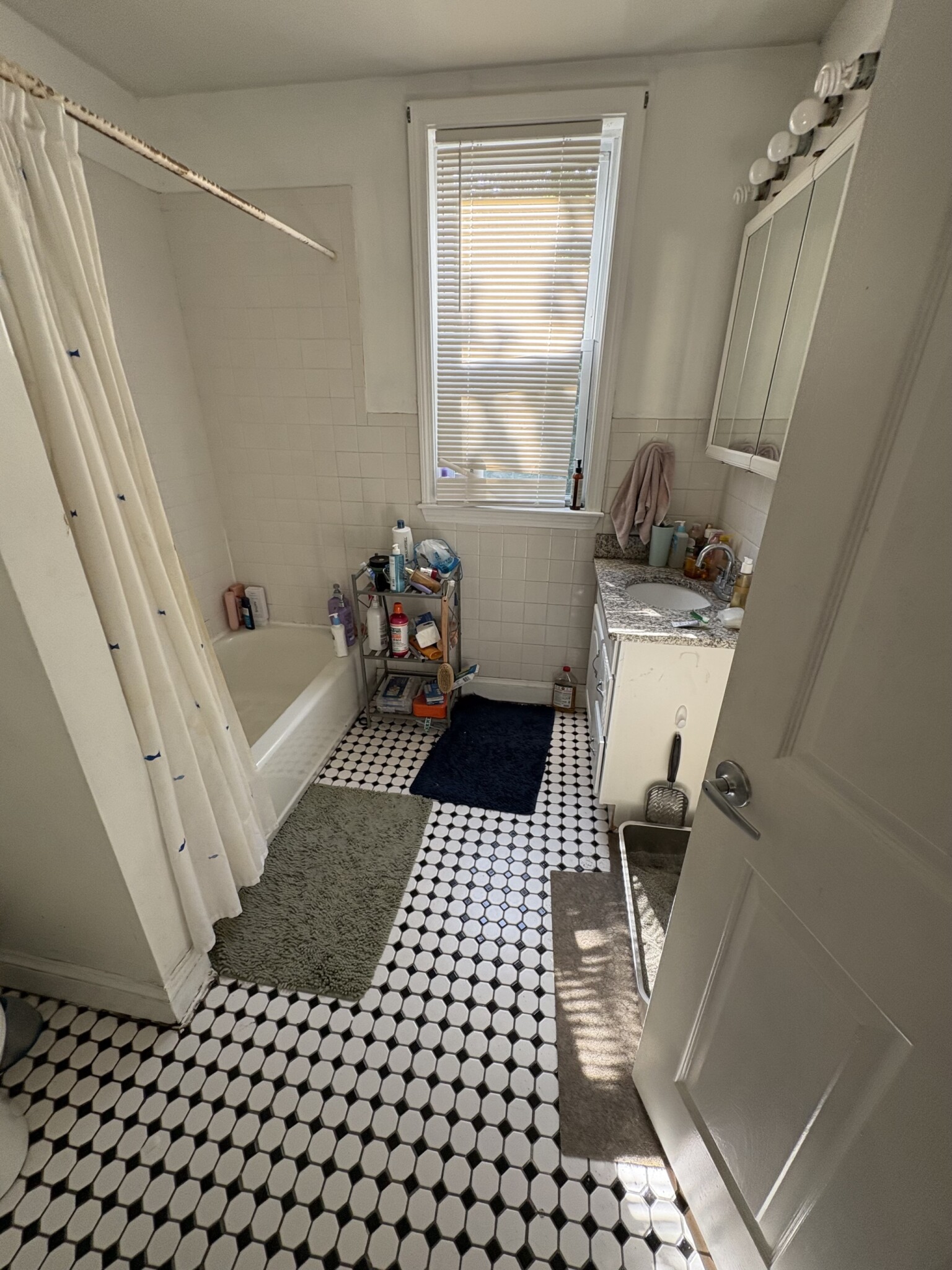 4 bed, 1 bath apartment for rent at 22 Fisher Ave Unit 3, Mission Hill — photo 13 of 16