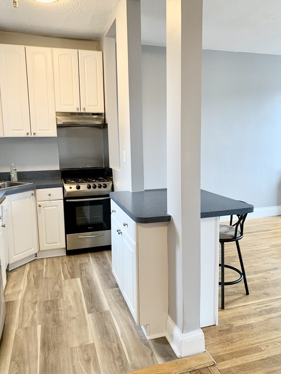 1 bed, 1 bath apartment for rent at 22 Orkney Rd Unit 32, Brighton — photo 3 of 13